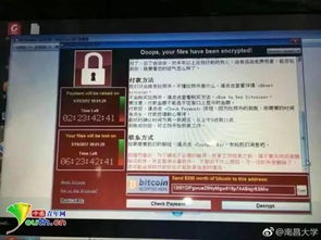 緊急安全通告 勒索病毒新型變種威脅加劇，請立即檢查并加固電腦防護(hù)設(shè)置